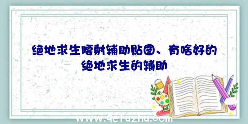 绝地求生腰射辅助贴图、有啥好的绝地求生的辅助