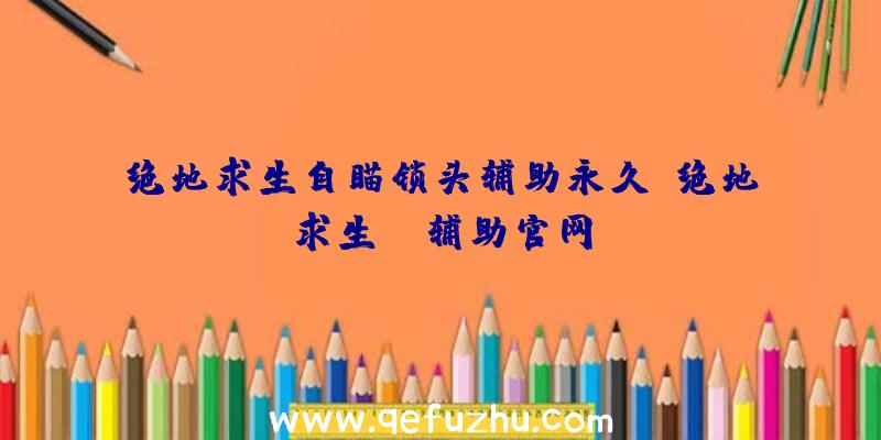 绝地求生自瞄锁头辅助永久、绝地求生be辅助官网