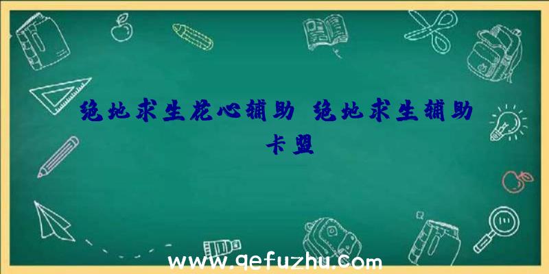 绝地求生花心辅助、绝地求生辅助fz卡盟