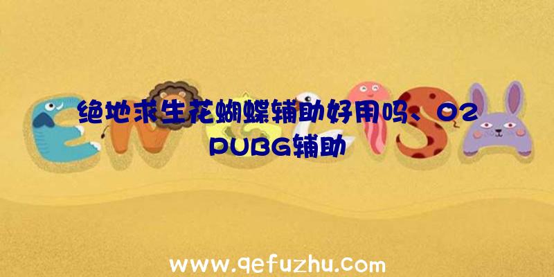 绝地求生花蝴蝶辅助好用吗、02PUBG辅助