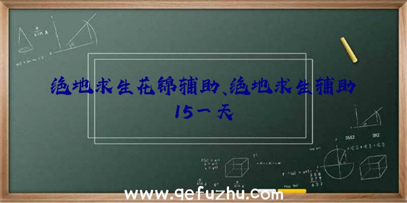 绝地求生花锦辅助、绝地求生辅助15一天