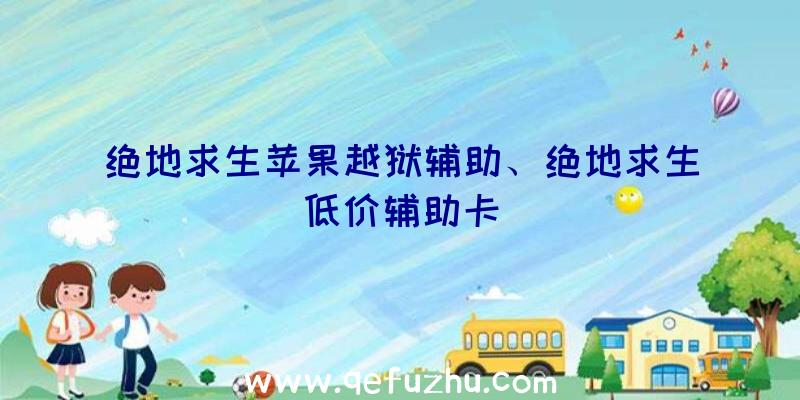 绝地求生苹果越狱辅助、绝地求生低价辅助卡