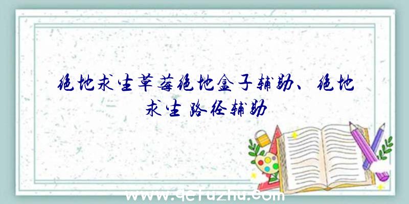 绝地求生草莓绝地盒子辅助、绝地求生