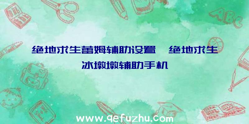 绝地求生蕾姆辅助设置、绝地求生冰墩墩辅助手机