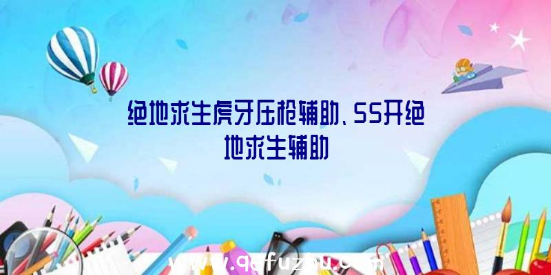 绝地求生虎牙压枪辅助、55开绝地求生辅助