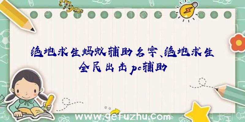 绝地求生蚂蚁辅助名字、绝地求生全民出击pc辅助