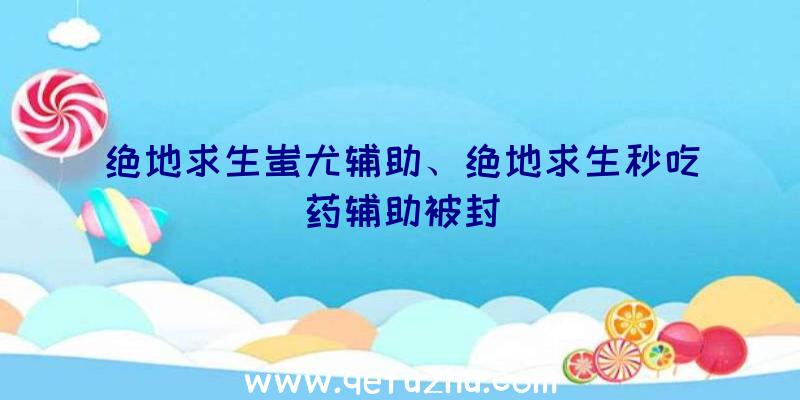 绝地求生蚩尤辅助、绝地求生秒吃药辅助被封