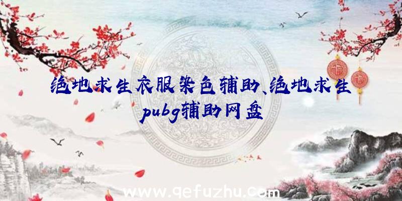 绝地求生衣服染色辅助、绝地求生pubg辅助网盘