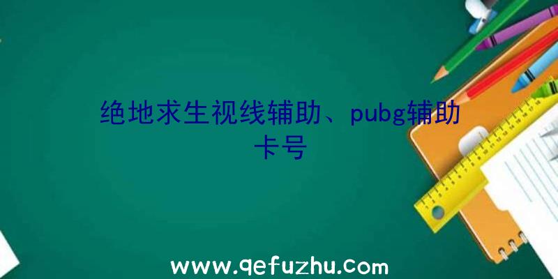 绝地求生视线辅助、pubg辅助卡号