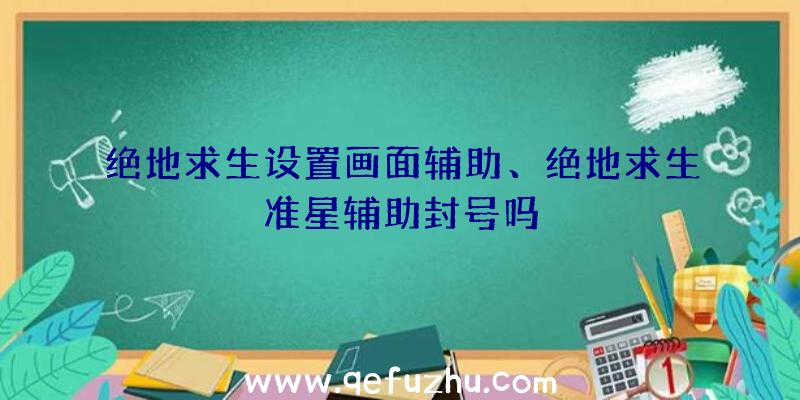 绝地求生设置画面辅助、绝地求生准星辅助封号吗