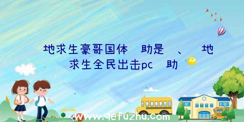 绝地求生豪哥国体辅助是谁、绝地求生全民出击pc辅助