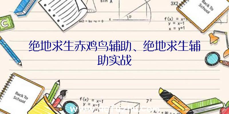 绝地求生赤鸡鸟辅助、绝地求生辅助实战