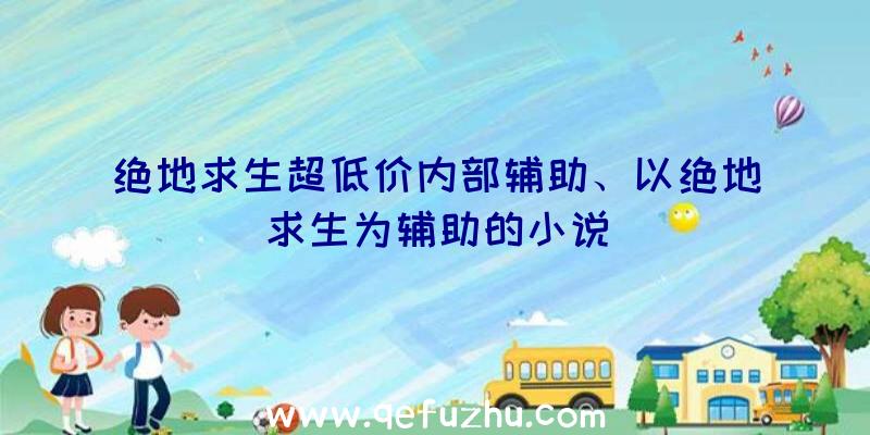 绝地求生超低价内部辅助、以绝地求生为辅助的小说