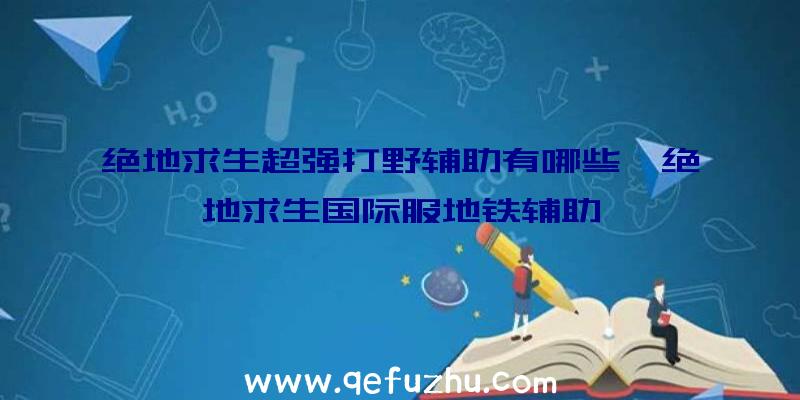 绝地求生超强打野辅助有哪些、绝地求生国际服地铁辅助