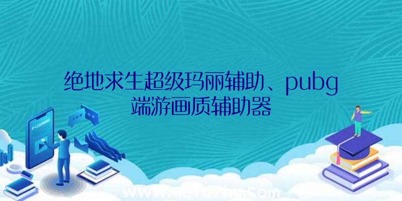 绝地求生超级玛丽辅助、pubg端游画质辅助器