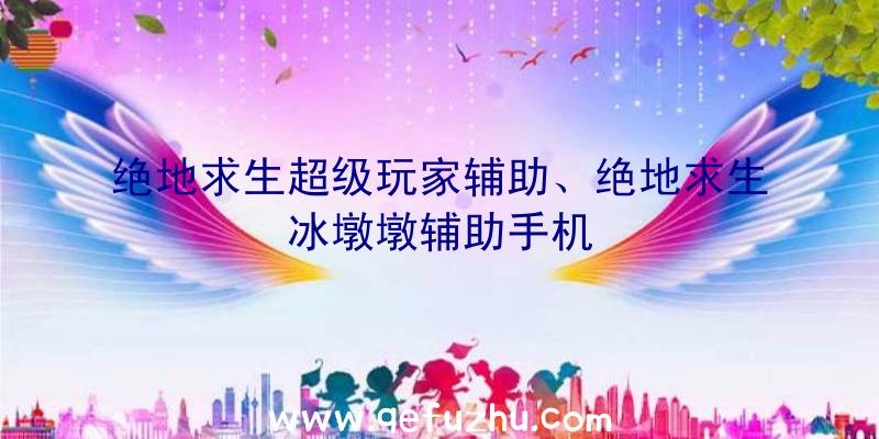 绝地求生超级玩家辅助、绝地求生冰墩墩辅助手机