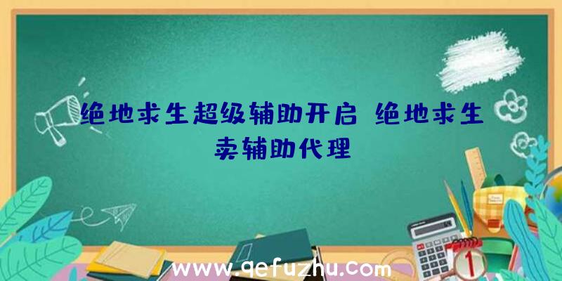 绝地求生超级辅助开启、绝地求生卖辅助代理