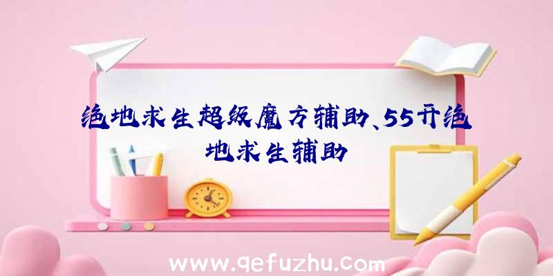 绝地求生超级魔方辅助、55开绝地求生辅助