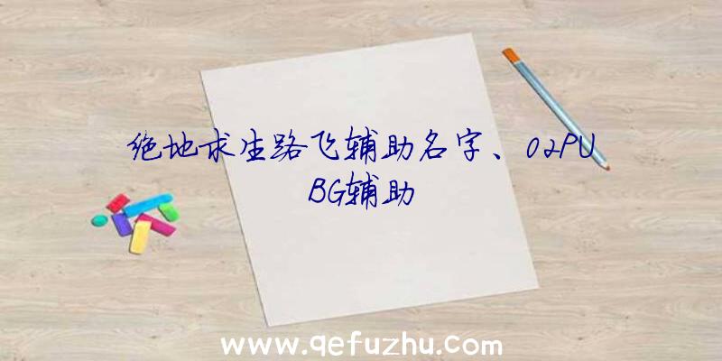 绝地求生路飞辅助名字、02PUBG辅助