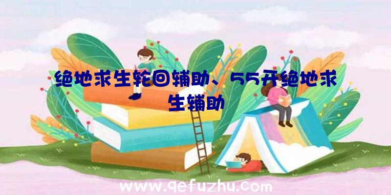 绝地求生轮回辅助、55开绝地求生辅助