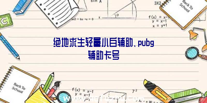 绝地求生轻量小白辅助、pubg辅助卡号