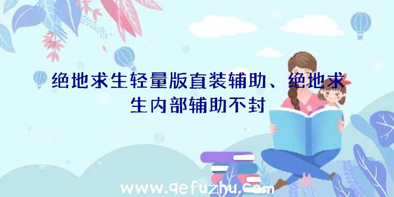 绝地求生轻量版直装辅助、绝地求生内部辅助不封