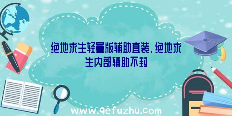 绝地求生轻量版辅助直装、绝地求生内部辅助不封