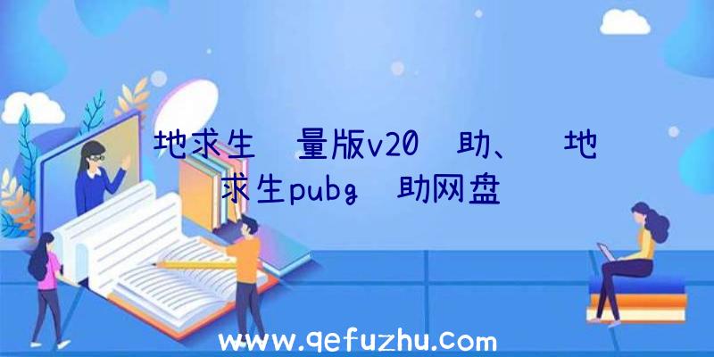 绝地求生轻量版v20辅助、绝地求生pubg辅助网盘