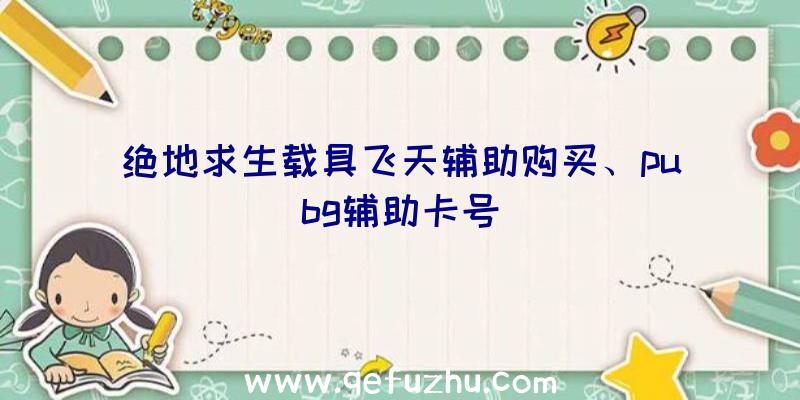 绝地求生载具飞天辅助购买、pubg辅助卡号