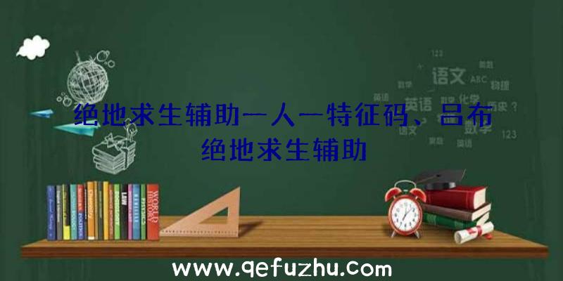 绝地求生辅助一人一特征码、吕布绝地求生辅助