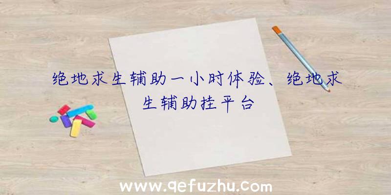 绝地求生辅助一小时体验、绝地求生辅助挂平台