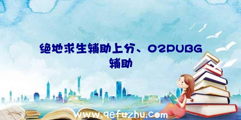 绝地求生辅助上分、02PUBG辅助