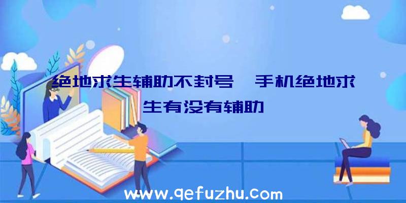 绝地求生辅助不封号、手机绝地求生有没有辅助