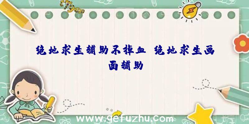 绝地求生辅助不掉血、绝地求生画面辅助