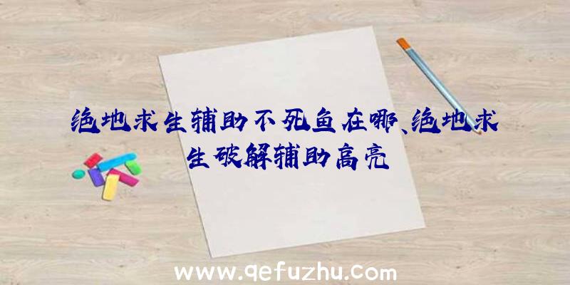 绝地求生辅助不死鱼在哪、绝地求生破解辅助高亮