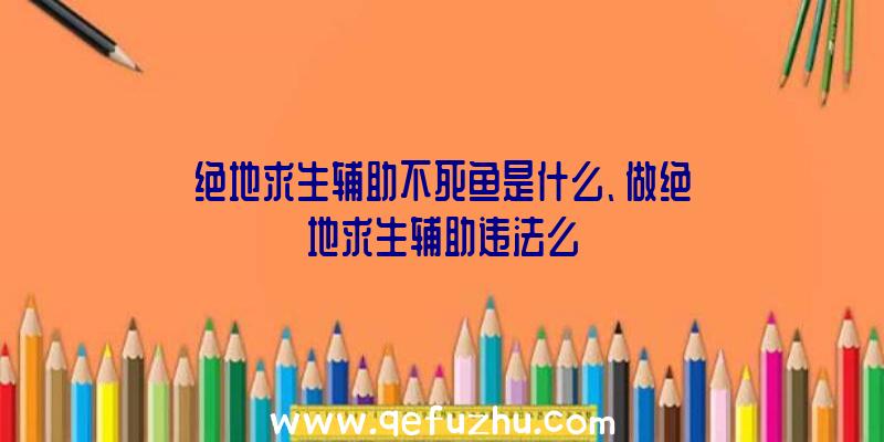 绝地求生辅助不死鱼是什么、做绝地求生辅助违法么