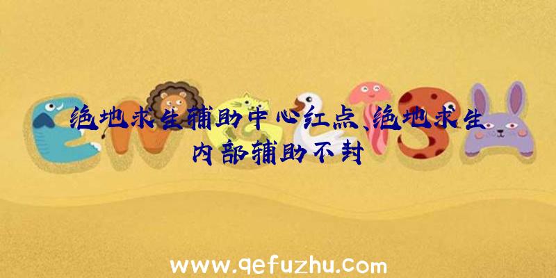 绝地求生辅助中心红点、绝地求生内部辅助不封