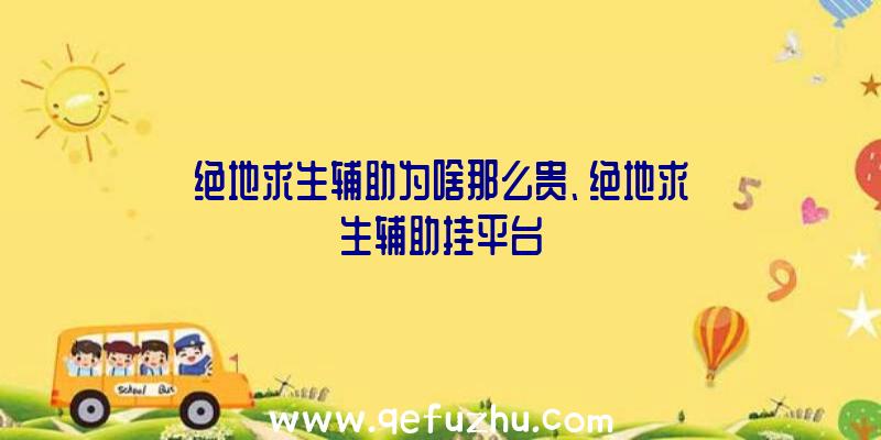 绝地求生辅助为啥那么贵、绝地求生辅助挂平台