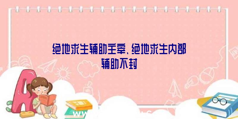 绝地求生辅助主宰、绝地求生内部辅助不封