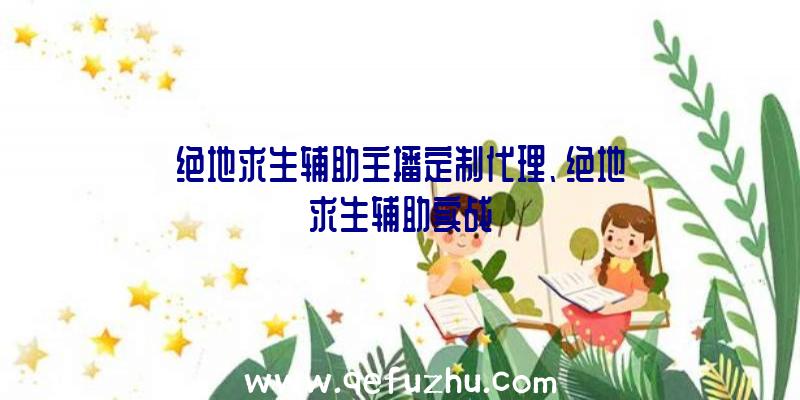 绝地求生辅助主播定制代理、绝地求生辅助实战