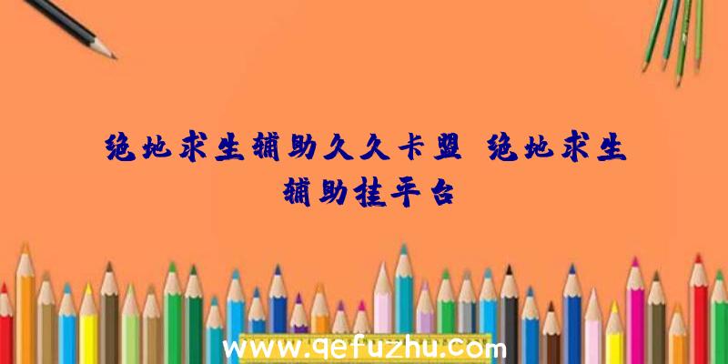 绝地求生辅助久久卡盟、绝地求生辅助挂平台