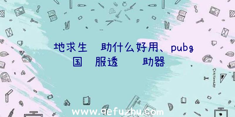 绝地求生辅助什么好用、pubg国际服透视辅助器