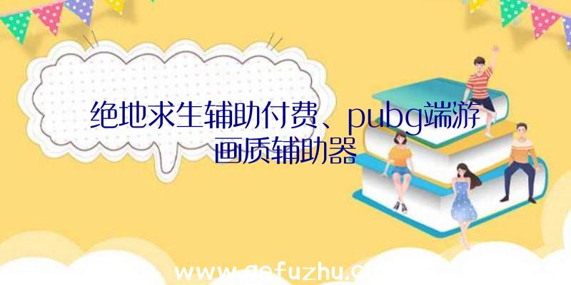 绝地求生辅助付费、pubg端游画质辅助器