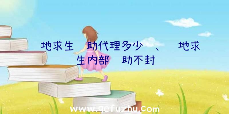 绝地求生辅助代理多少钱、绝地求生内部辅助不封