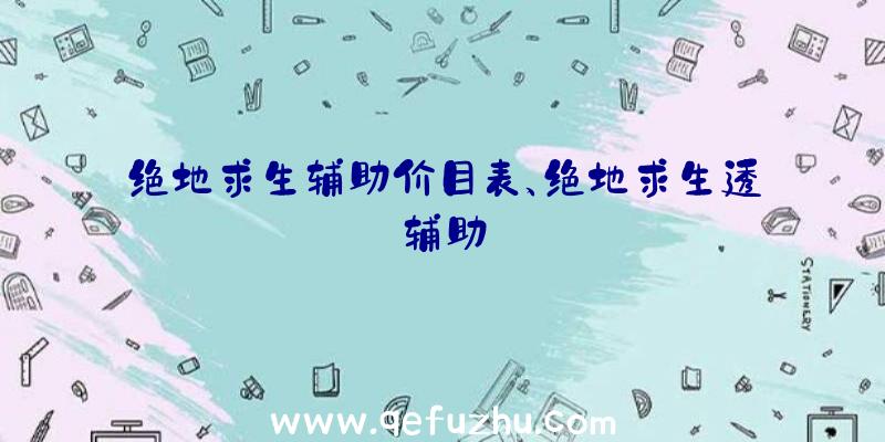 绝地求生辅助价目表、绝地求生透辅助