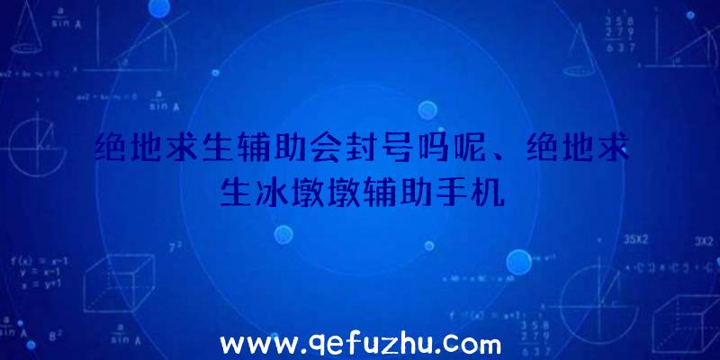 绝地求生辅助会封号吗呢、绝地求生冰墩墩辅助手机