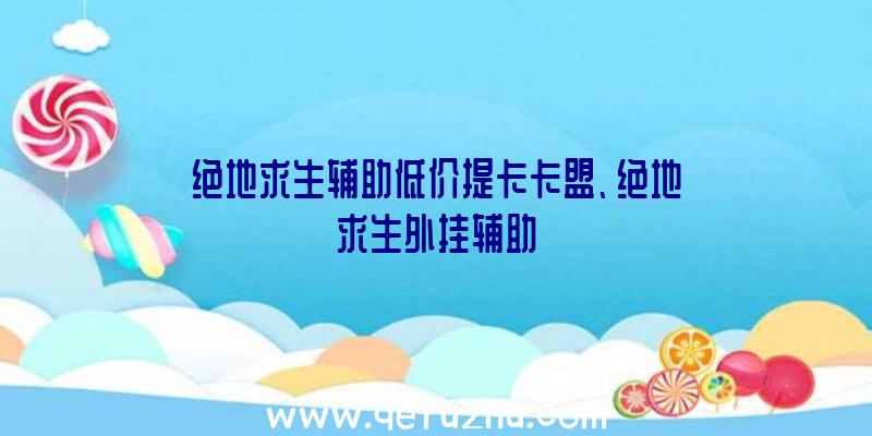 绝地求生辅助低价提卡卡盟、绝地求生外挂辅助