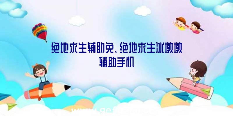 绝地求生辅助免、绝地求生冰墩墩辅助手机