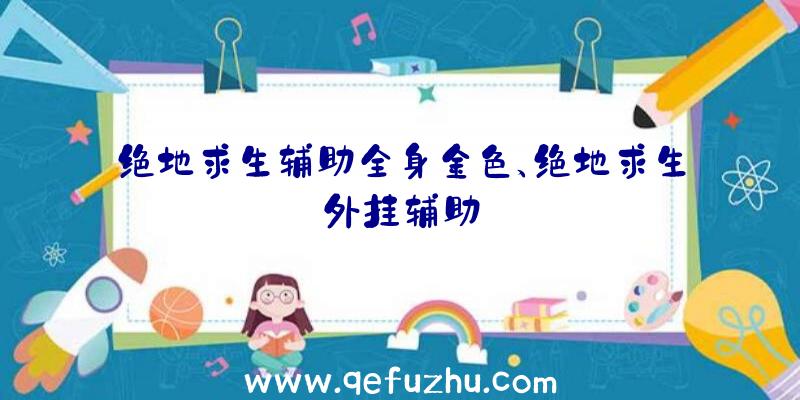 绝地求生辅助全身金色、绝地求生外挂辅助