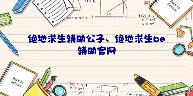 绝地求生辅助公子、绝地求生be辅助官网